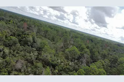 St Claire Lake Drive, Deland, FL 32720 - Photo 6