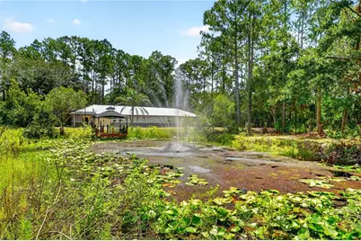 590 County Road 325, Bunnell, FL 32110 - Photo 8