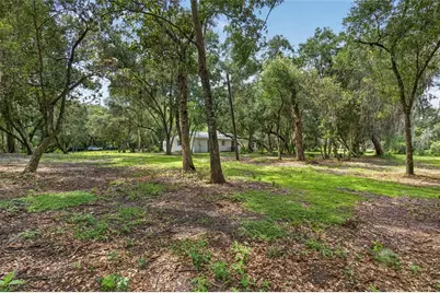 300 Scott Road, Geneva, FL 32732 - Photo 78