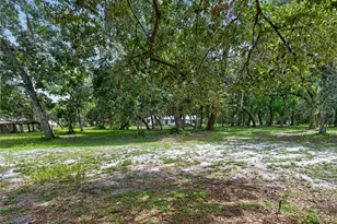 300 Scott Rd, Geneva, FL 32732 - Photo 62