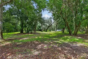 300 Scott Rd, Geneva, FL 32732 - Photo 60