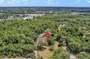 13 Cunningham Rd, Debary, FL 32713 - Photo 36