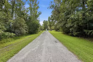 2050 Minorca Rd, New Smyrna Beach, FL 32168 - Photo 12