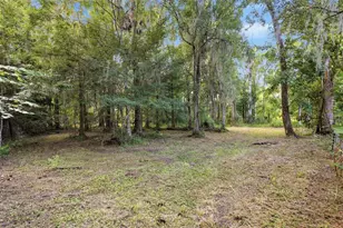 2050 Minorca Rd, New Smyrna Beach, FL 32168 - Photo 8