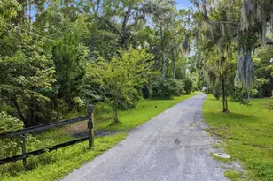 2050 Minorca Rd, New Smyrna Beach, FL 32168 - Photo 16