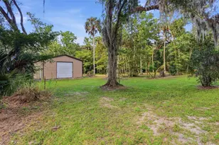 2050 Minorca Rd, New Smyrna Beach, FL 32168 - Photo 12