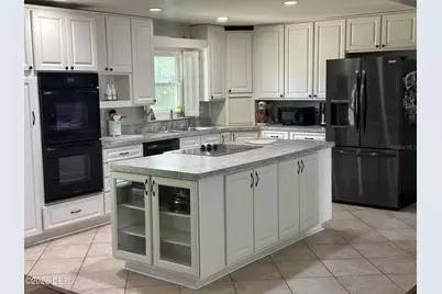 31109 Deal Drive, Mount Plymouth, FL 32776 - Photo 4