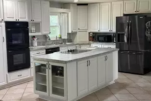31109 Deal Dr, Mount Plymouth, FL 32776 - Photo 4