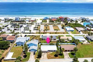 4211 Cardinal Blvd, Port Orange, FL 32127 - Photo 50