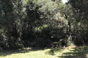 3078 Verbena Dr, Deltona, FL 32725 - Photo 28