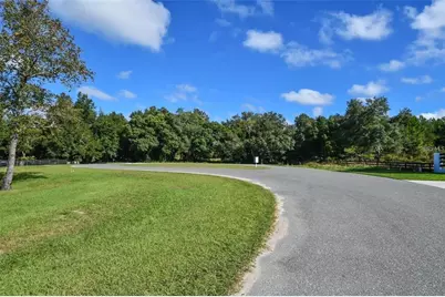 Tree Frog Lot 6 Lane, Eustis, FL 32736 - Photo 16