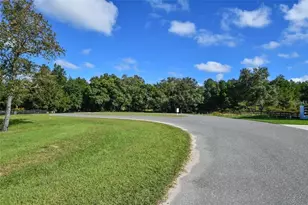 Tree Frog Lot 6 Ln, Eustis, FL 32736 - Photo 16