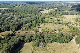 Tree Frog Lot 6 Ln, Eustis, FL 32736 - Photo 8