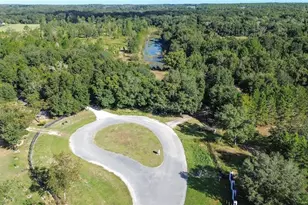Tree Frog Lot 6 Ln, Eustis, FL 32736 - Photo 2