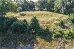 Tree Frog Lot 6 Ln, Eustis, FL 32736 - Photo 18
