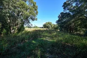 Tree Frog Lot 6 Ln, Eustis, FL 32736 - Photo 14