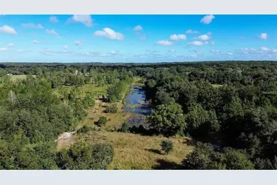 Tree Frog Lot 6 Lane, Eustis, FL 32736 - Photo 4