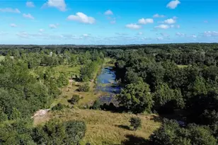 Tree Frog Lot 6 Ln, Eustis, FL 32736 - Photo 4