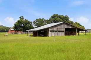 2259 Brownlee Rd, Seville, FL 32190 - Photo 52