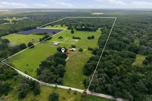 2259 Brownlee Rd, Seville, FL 32190 - Photo 62