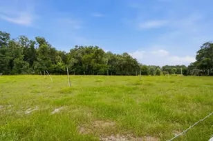 2259 Brownlee Rd, Seville, FL 32190 - Photo 54