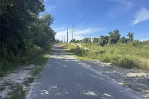 393 Walnut Ave, Orange City, FL 32763 - Photo 36