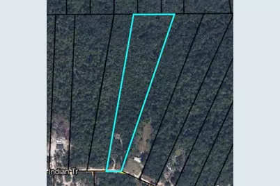 5914 Indian Trail, Keystone Heights, FL 32656 - Photo 4