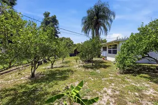 709 Hager St, Deltona, FL 32725 - Photo 10