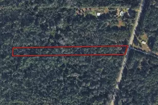 6366 County Rd 315C, Keystone Heights, FL 32656 - Photo 1