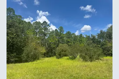 2750 Big John Drive, Deland, FL 32724 - Photo 24
