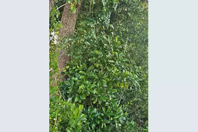 18th Street, Orange City, FL 32763 - Photo 2