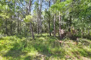 1964 S Farm Rd, Deland, FL 32720 - Photo 1