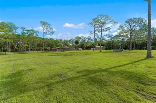 2131 W Poinsettia Dr, Port Orange, FL 32128 - Photo 48