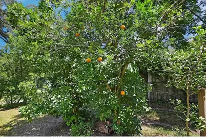 18931 E Altoona Road, Altoona, FL 32702 - Photo 26