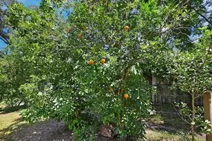18931 E Altoona Rd, Altoona, FL 32702 - Photo 26