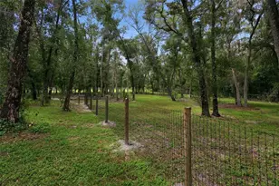 1095 S Ridgewood Ave, Deland, FL 32720 - Photo 4