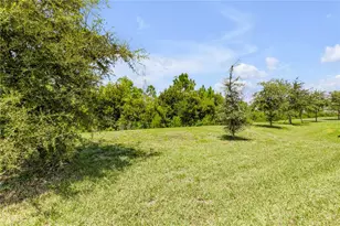 3006 Neverland Dr, New Smyrna Beach, FL 32168 - Photo 30