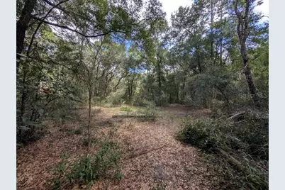 126 Cherry Drive, Pomona Park, FL 32181 - Photo 8