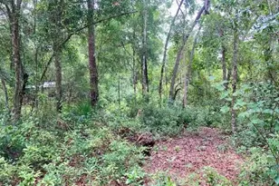 407 Raulerson Rd, Seville, FL 32190 - Photo 1