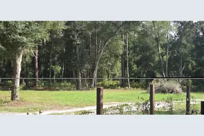 407 Raulerson Road, Seville, FL 32190 - Photo 8