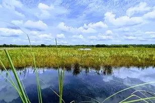 1806 Glenwood Oaks Ln, Deland, FL 32720 - Photo 40