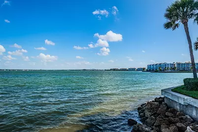 5541 Puerta Del Sol Boulevard S #313, Saint Petersburg, FL 33715 - Photo 44