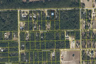 839 County Road 308B, Pomona Park, FL 32181 - Photo 6