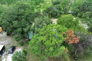 698 Wild Acres Rd, Osteen, FL 32764 - Photo 36