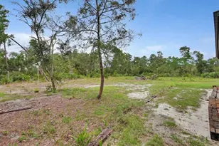 698 Wild Acres Rd, Osteen, FL 32764 - Photo 44