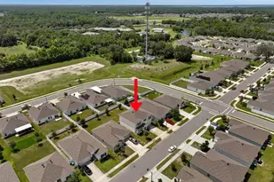 3096 Blue Bonnet Ln, Osteen, FL 32764 - Photo 36