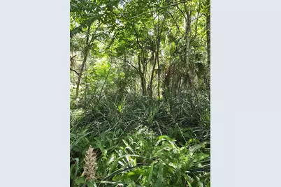 Dutton Avenue, Deland, FL 32720 - Photo 4