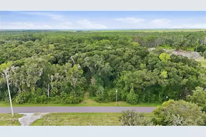 Vannote Road, Pierson, FL 32180 - Photo 10