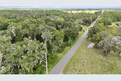 Vannote Road, Pierson, FL 32180 - Photo 12