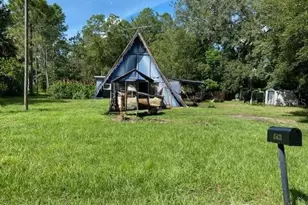 45631 Pennsylvania St, Paisley, FL 32767 - Photo 4
